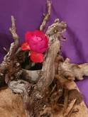 Quelle: Brigitte Wichert